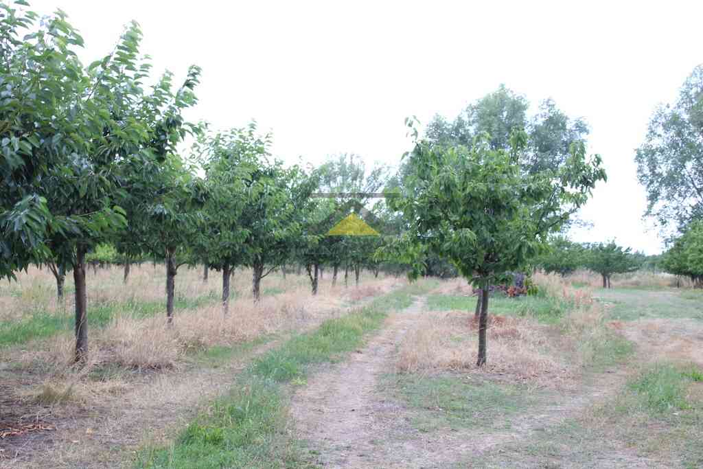 Działka budowlana Gorzów Wlkp., obręb Chróścik - zdjęcie 9