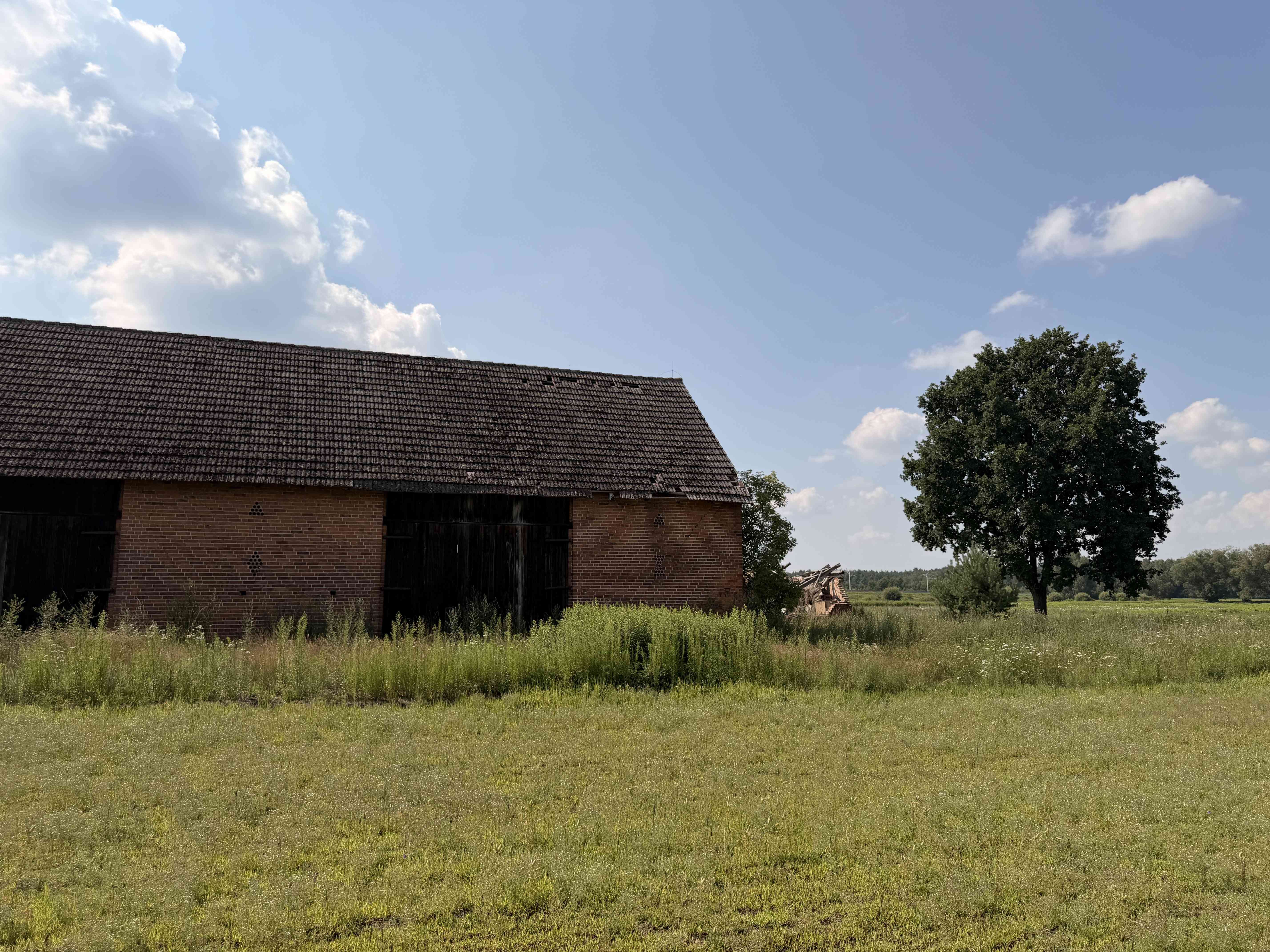Siedlisko 5,17 ha z ceglaną stodołą | Pawłów, gm. Sośnie - zdjęcie 5