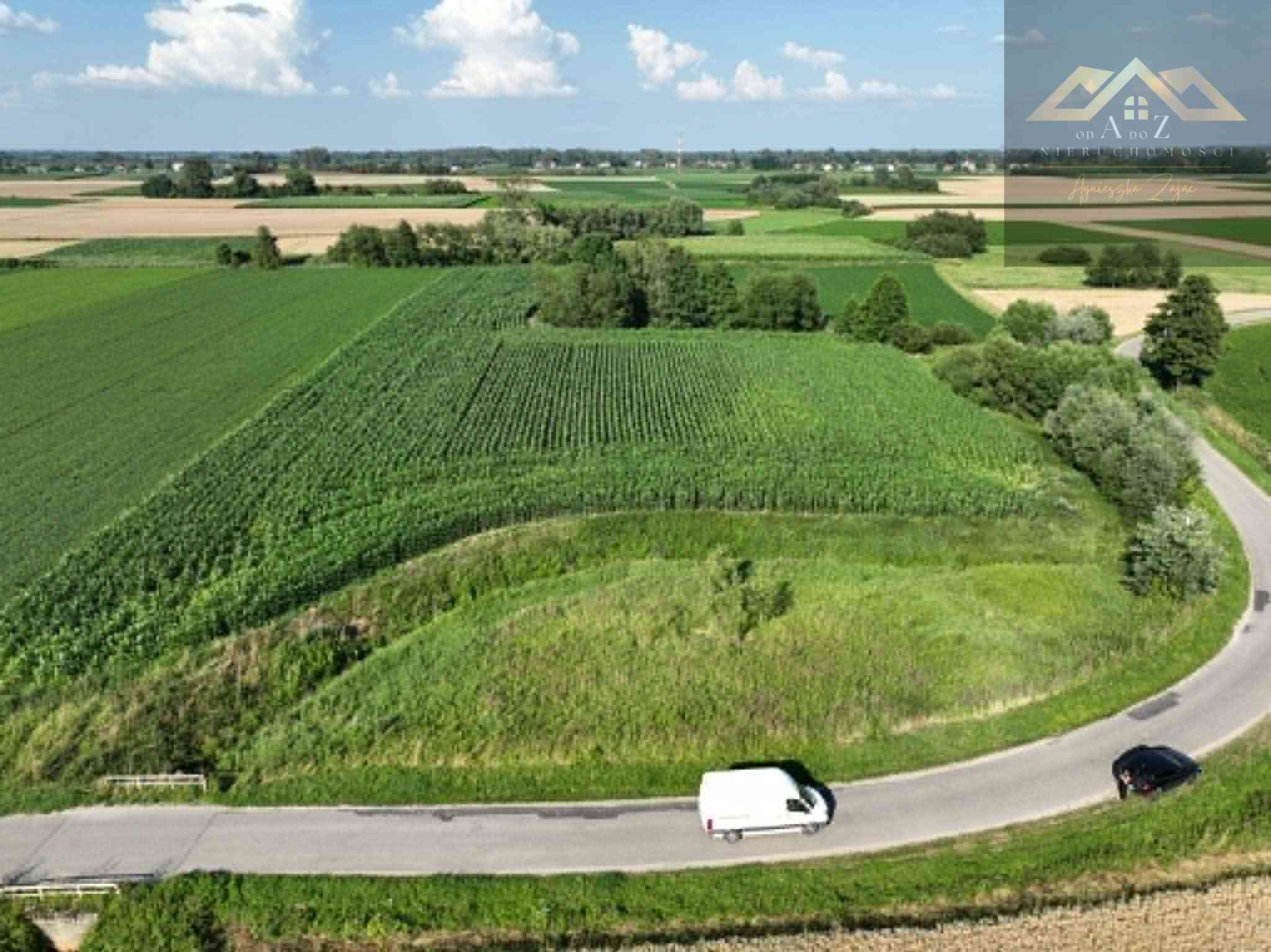 Działka rolna 80 arów w Miechowicach - zdjęcie 9