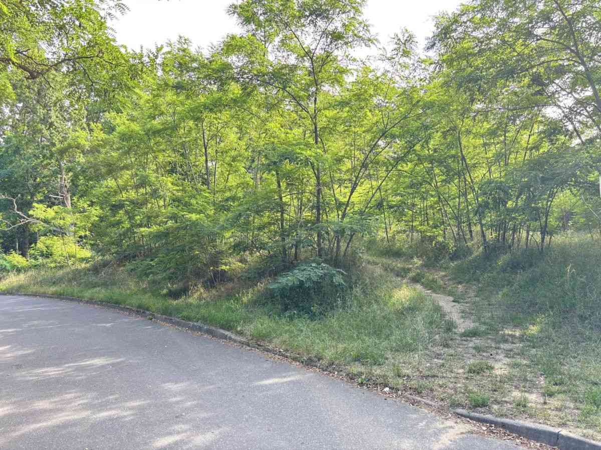 Żary 20min | Zielona Góra 30min | Media | MPZP | - zdjęcie 6