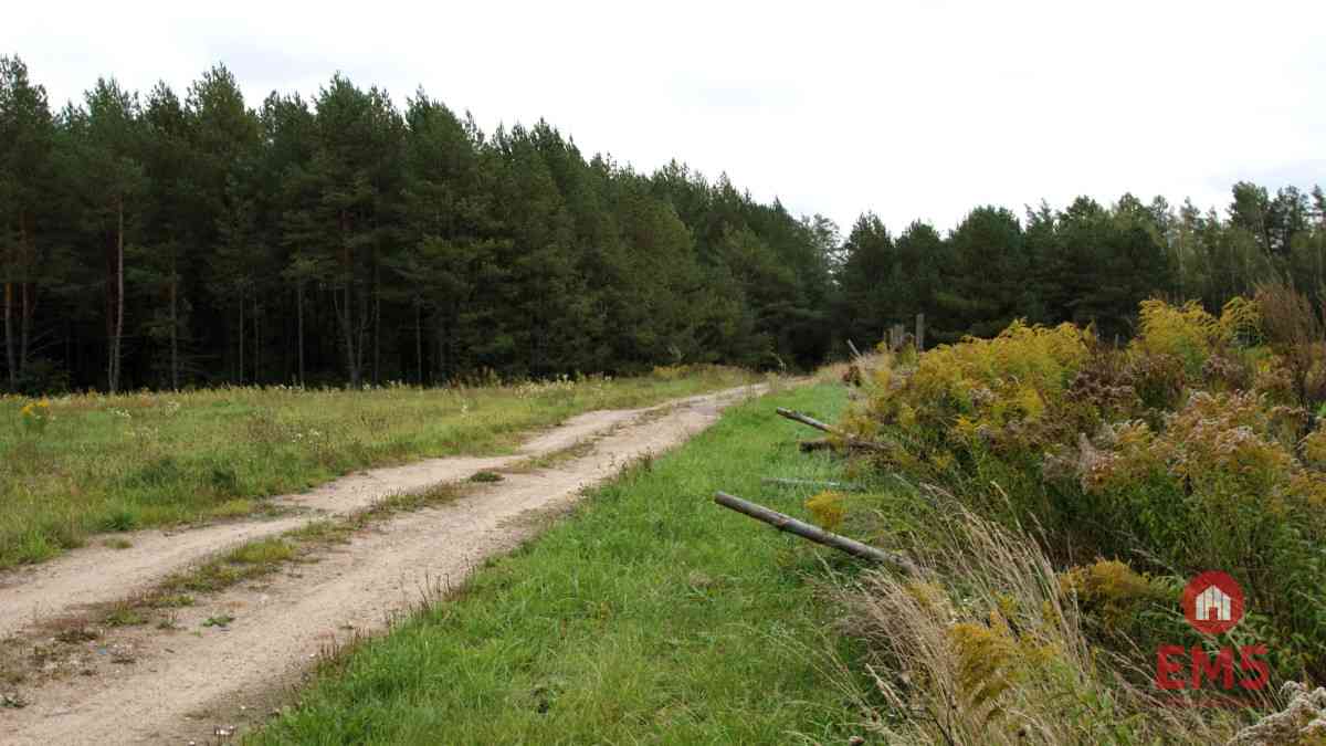 Dom w otoczeniu lasu | działka 2400 m² - zdjęcie 22