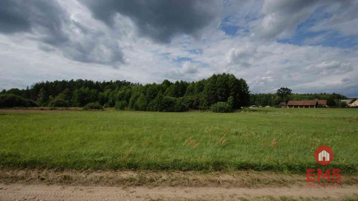 Działka w otulinie Puszczy Knyszyńskiej z WZ - zdjęcie 5