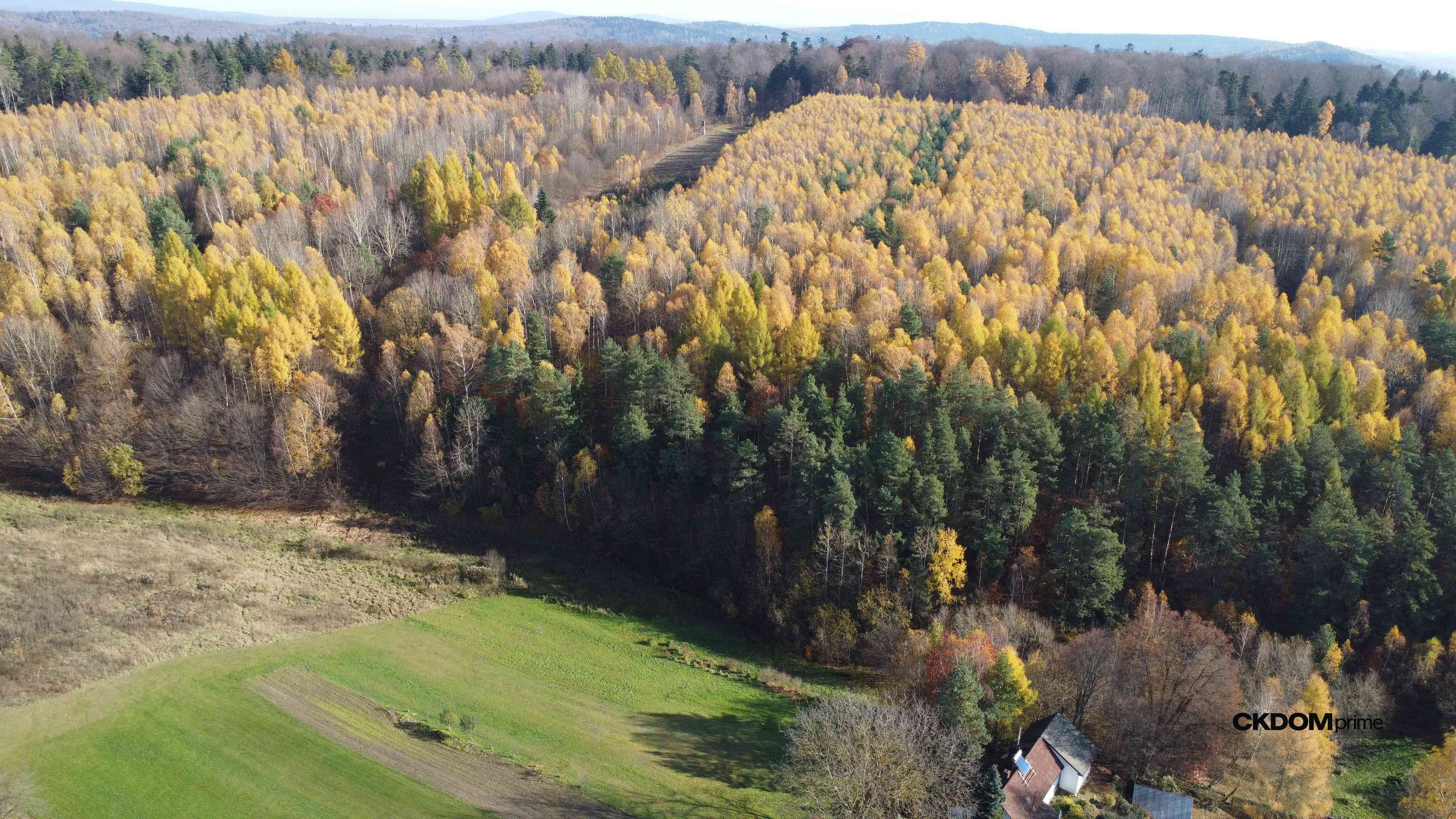 Działka inwestycyjna Cisów 22 500 m² - zdjęcie 2