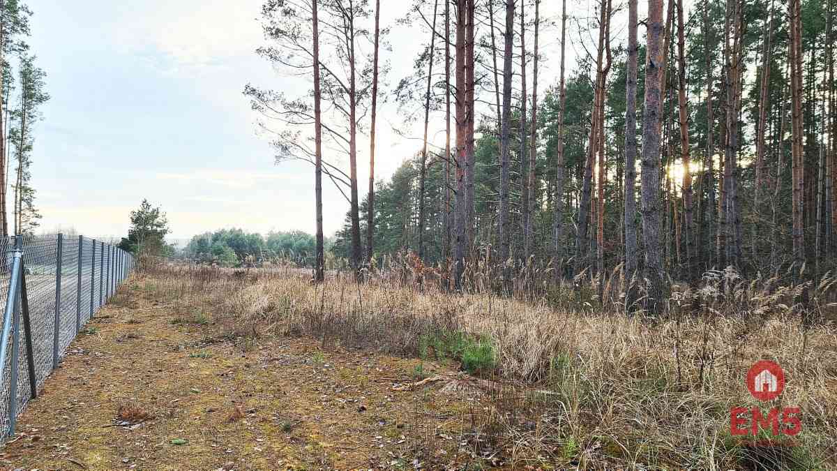 Działka 8500 m2, Jurowce - zdjęcie 4