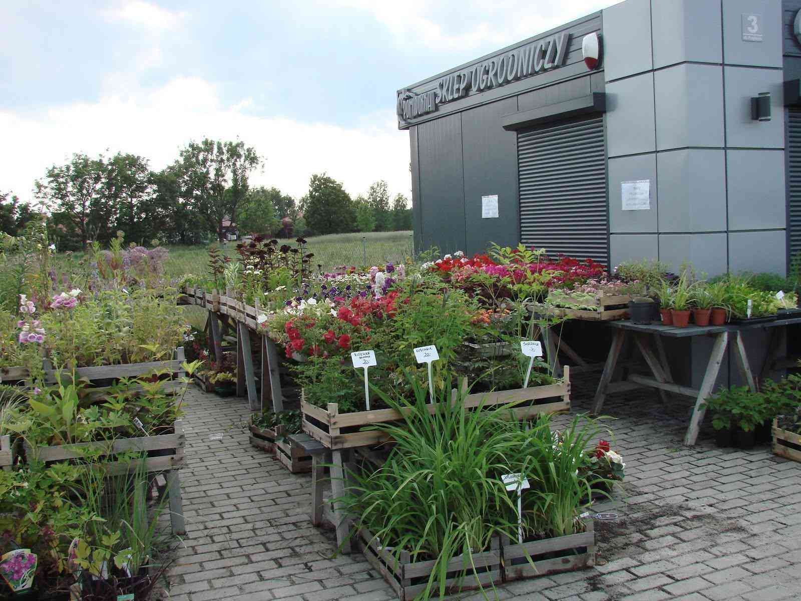 Działka usługowa ze sklepem - zdjęcie 7