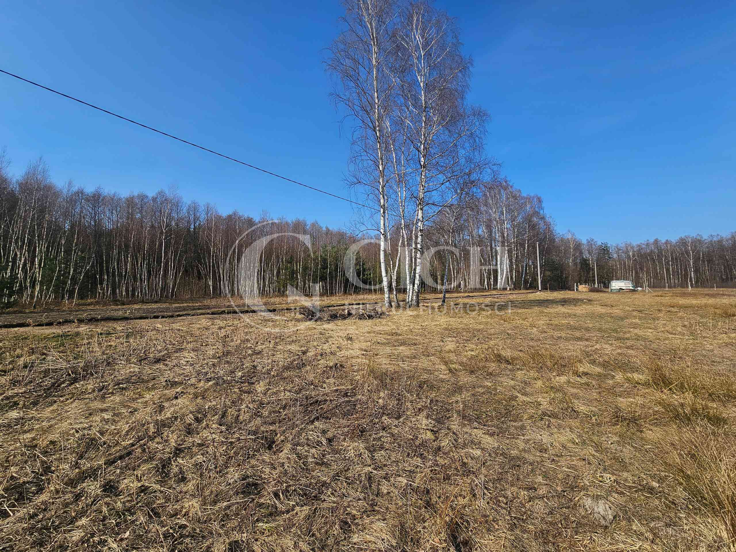 Działka siedliskowa pomiędzy lasami - zdjęcie 6