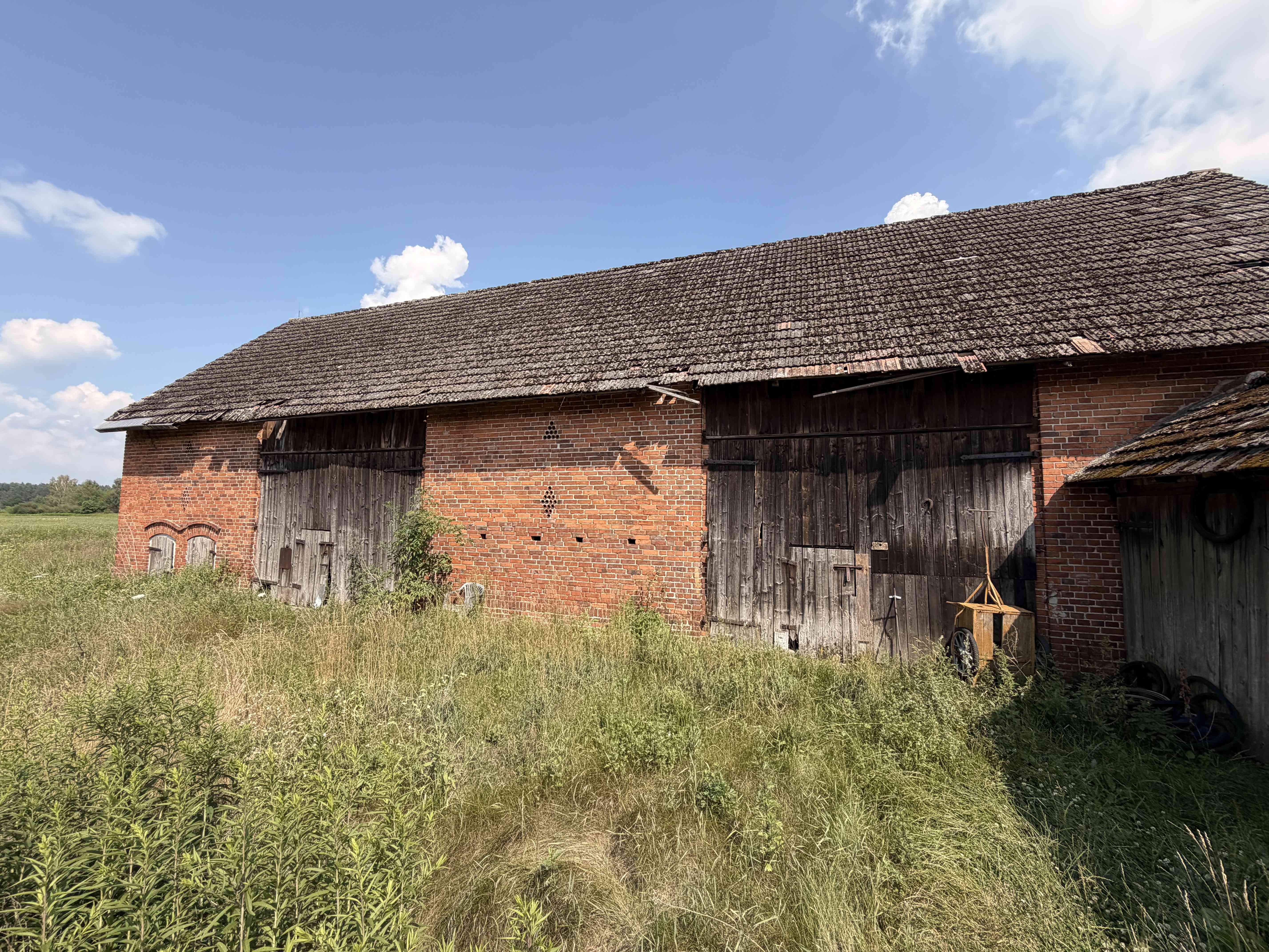 Siedlisko 5,17 ha z ceglaną stodołą | Pawłów, gm. Sośnie - zdjęcie 2