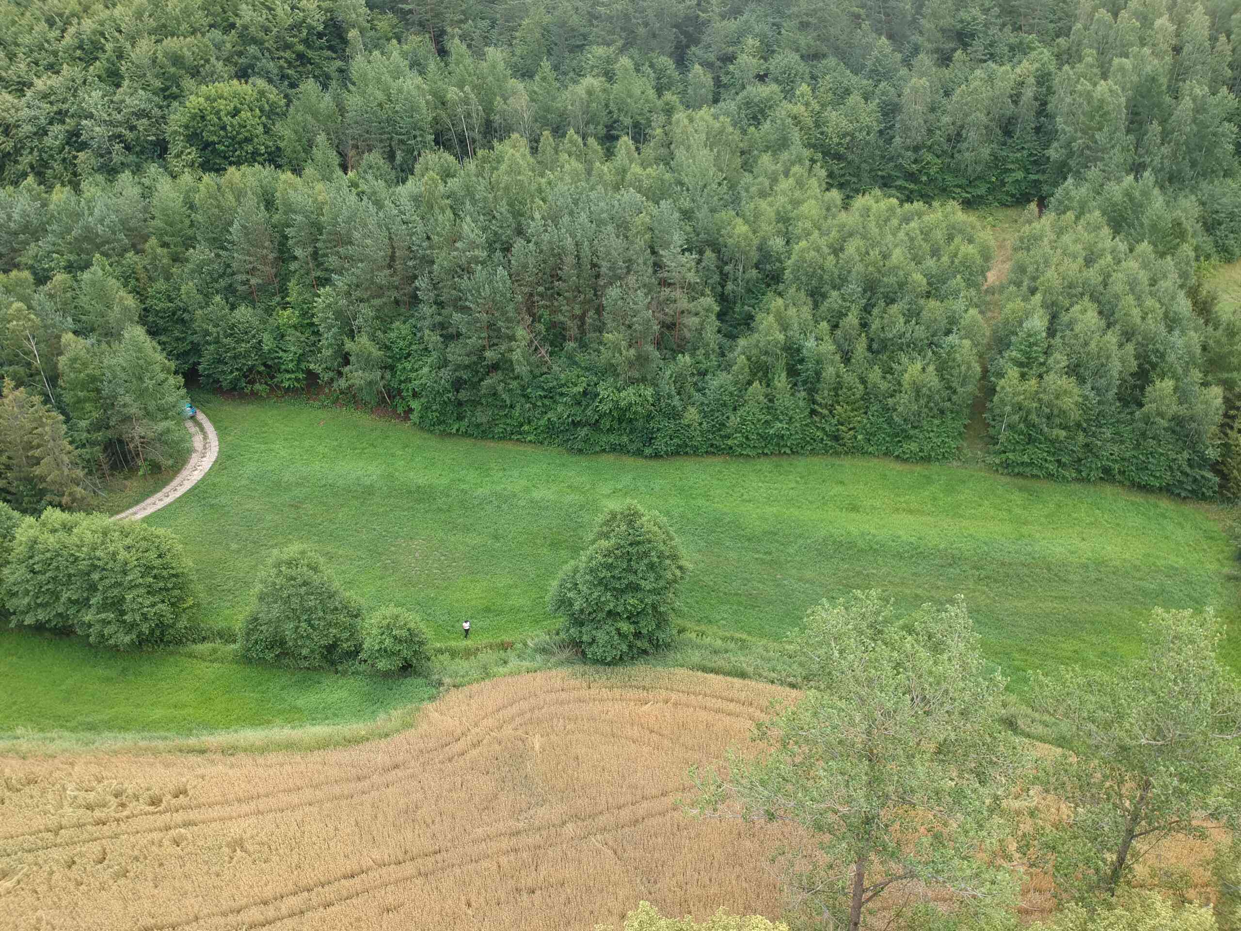 Teren nad jeziorem Brodnica Górna Kaszuby - zdjęcie 3