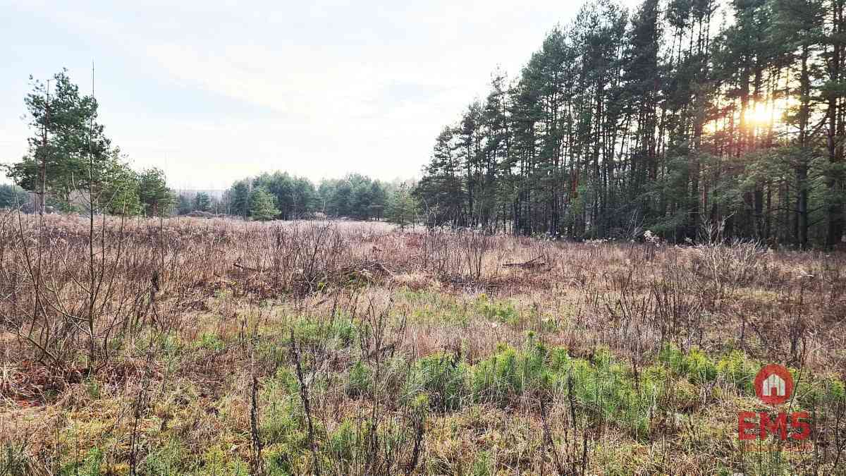 Działka 8500 m2, Jurowce - zdjęcie 5