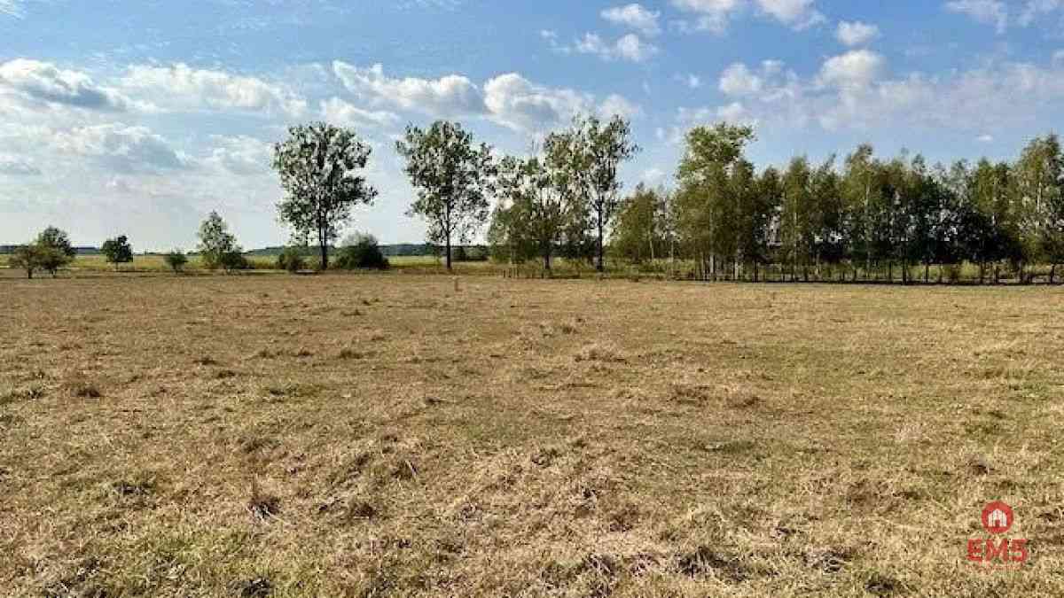 Działka budowlana 1425 m2, Rafałówka - zdjęcie 8