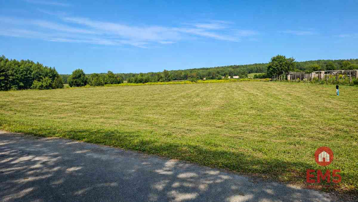 Działka 4400 m2, Szudziałowo - zdjęcie 3