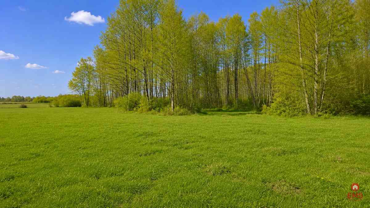 Działka rolno-budowlana 2,5 ha. Nowosiółki - zdjęcie 9