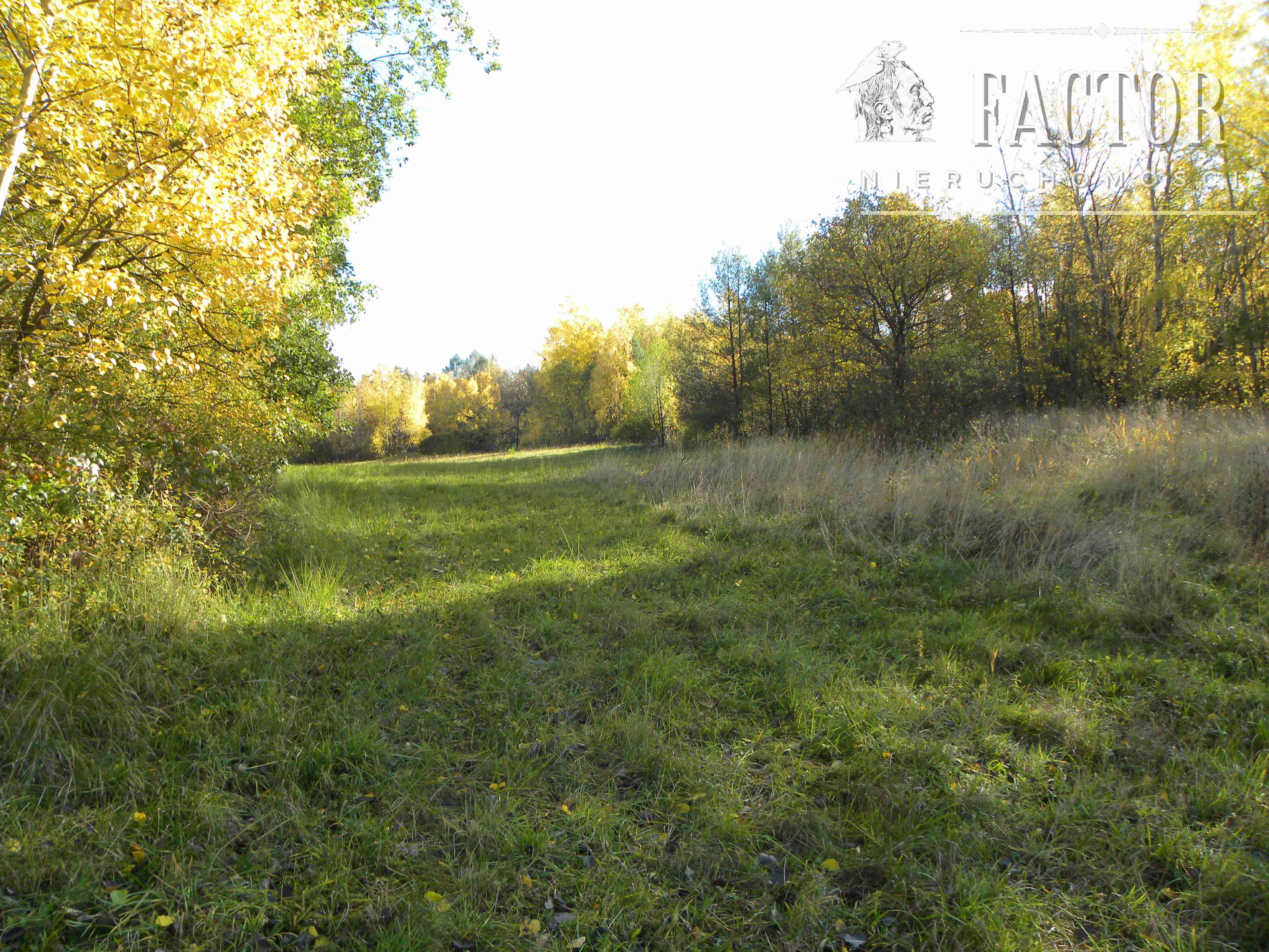 Rozdziele działka rolna 1,58 ha 1071S - zdjęcie 4