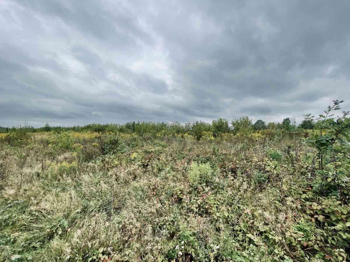 Działki budowlane 1000 m² | WZ + projekt domu - zdjęcie 15