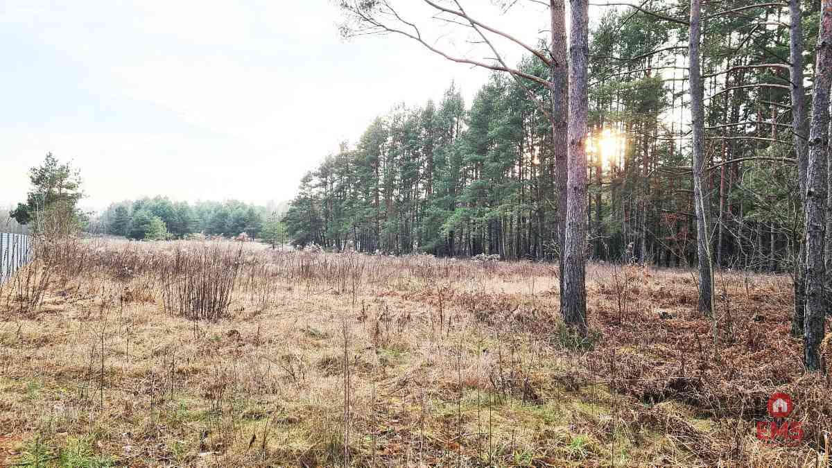 Działka 8500 m2, Jurowce