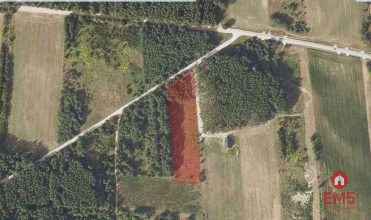 Działka 8500 m2, Jurowce - zdjęcie 8