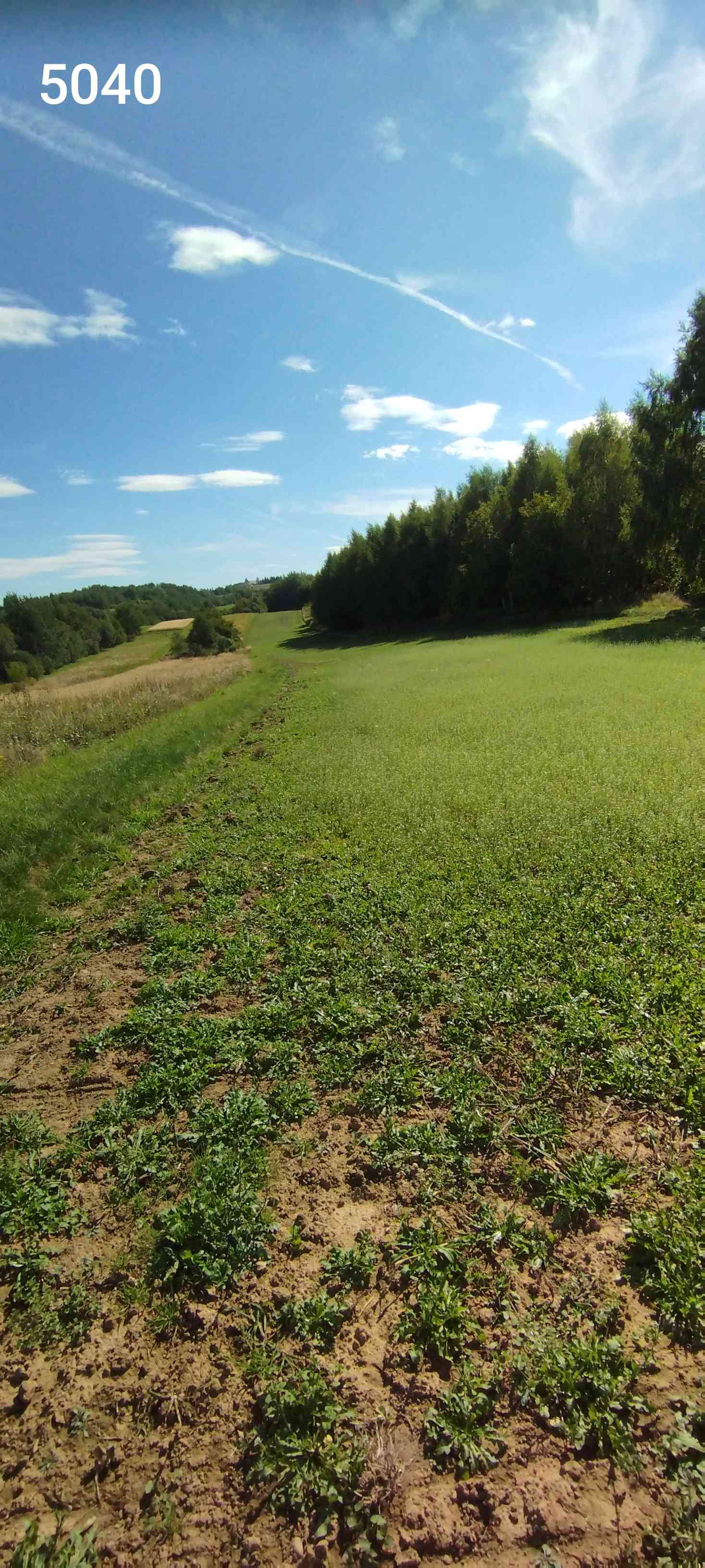 2 działki 1,47ha łącznie na obrzeżach Rzeszowa - zdjęcie 7