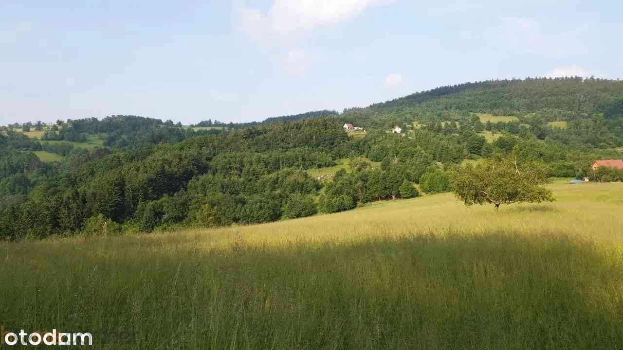 Działka w Górach Sowich - zdjęcie 10