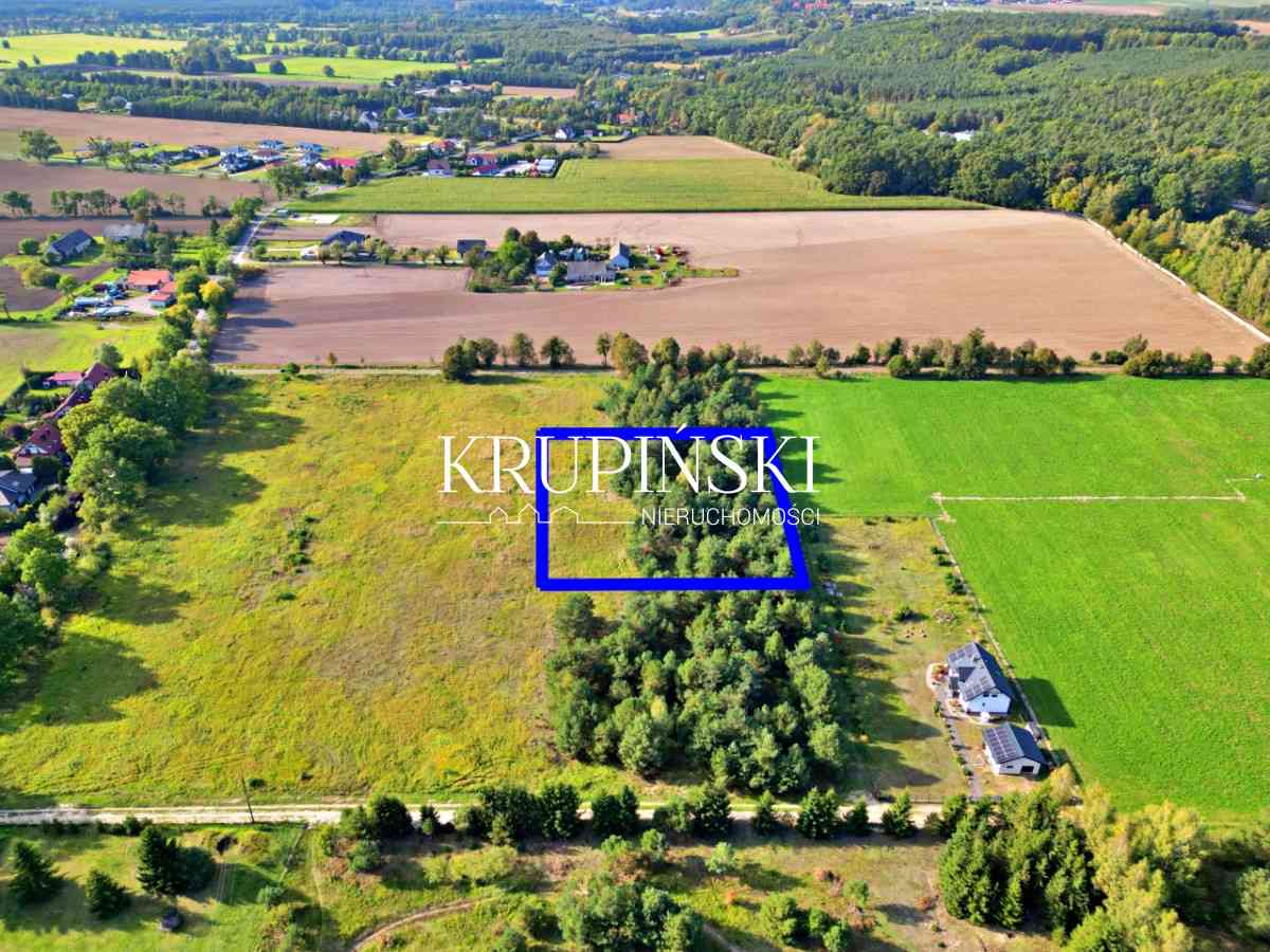 Piękna działka w Zamku Bierzgłowskim! - zdjęcie 8