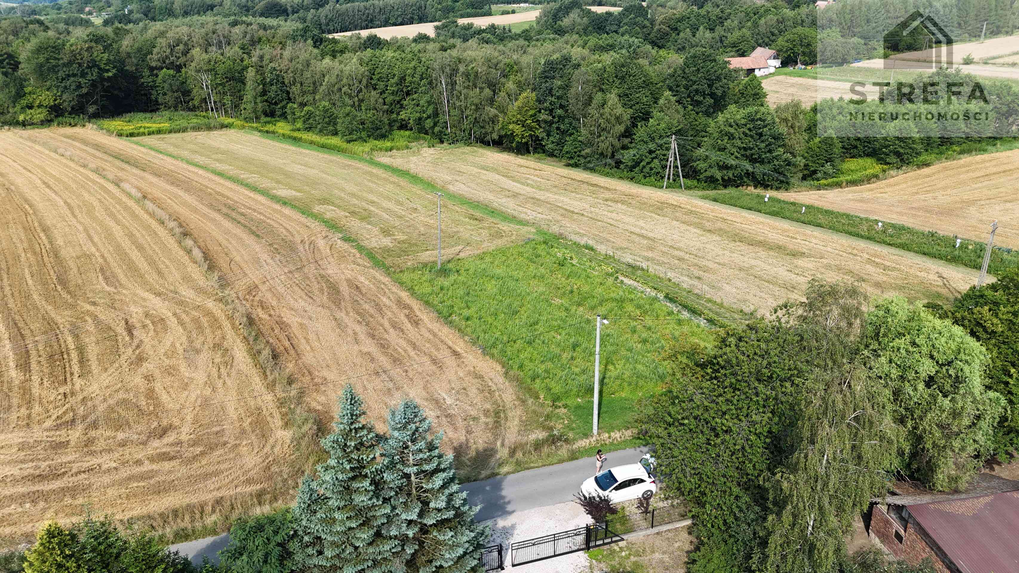 Duża działka budowlano-zagrodowa (37,75 ara) – Poręba Radlna k. Tarnowa - zdjęcie 3