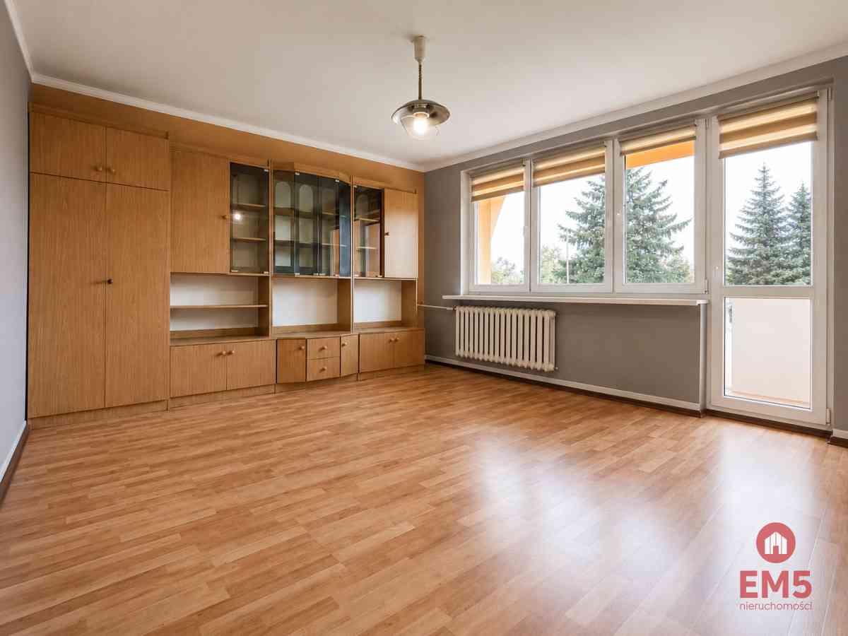 Duże mieszkanie-centrum Sejn