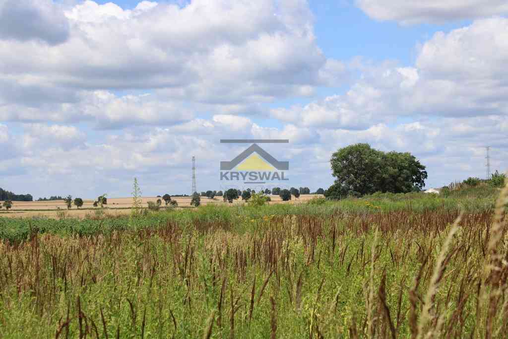 Działka 35 arów, wydane WZ, Racław - zdjęcie 6