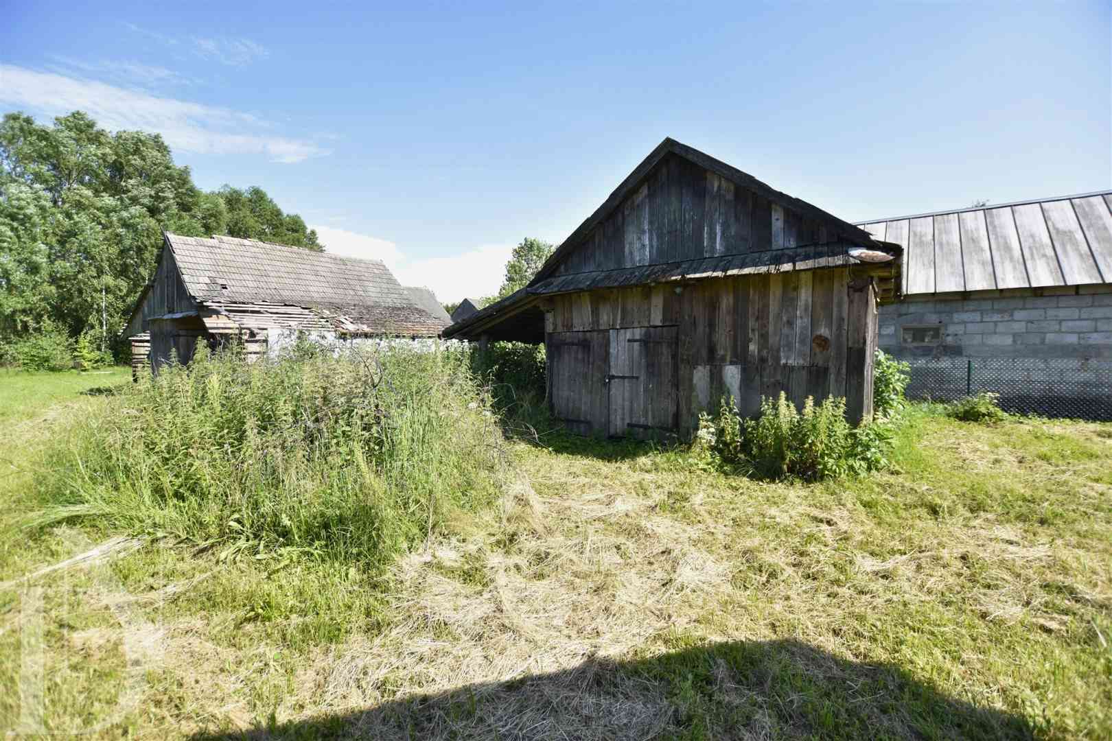 Siedlisko z dużą działką 5986 m² Czyże - zdjęcie 11