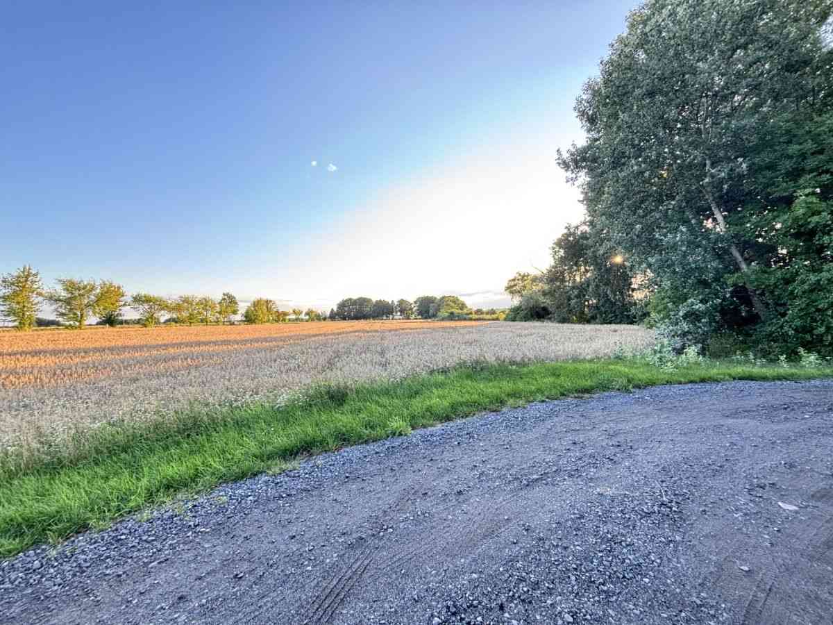 Dopasuj powierzchnię do potrzeb | Od 812m² do 7155 - zdjęcie 19