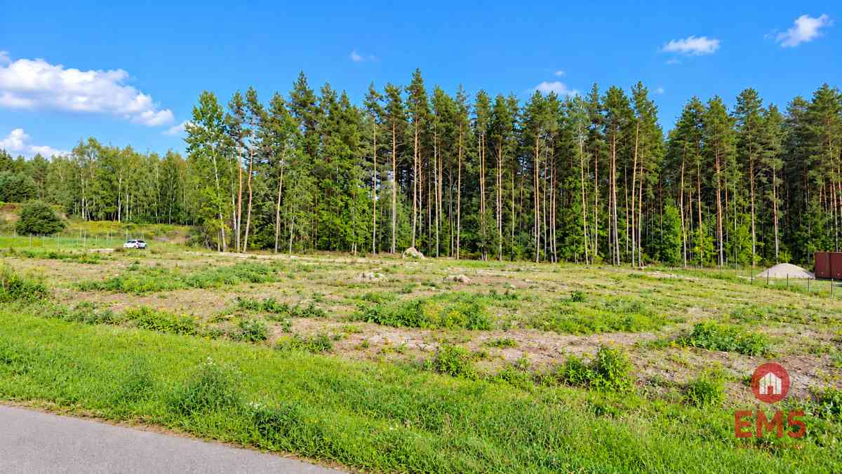 Plac 4500 m2 przy DK 8 - zdjęcie 2