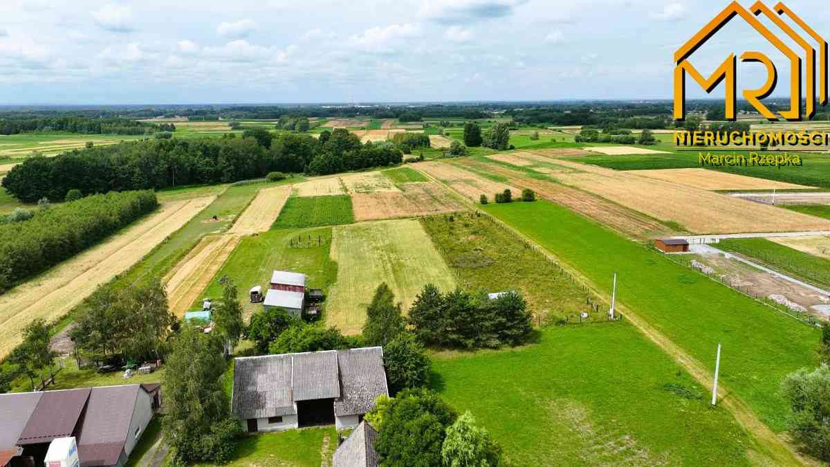 Działki leśne w gm. Lisia Góra - zdjęcie 3