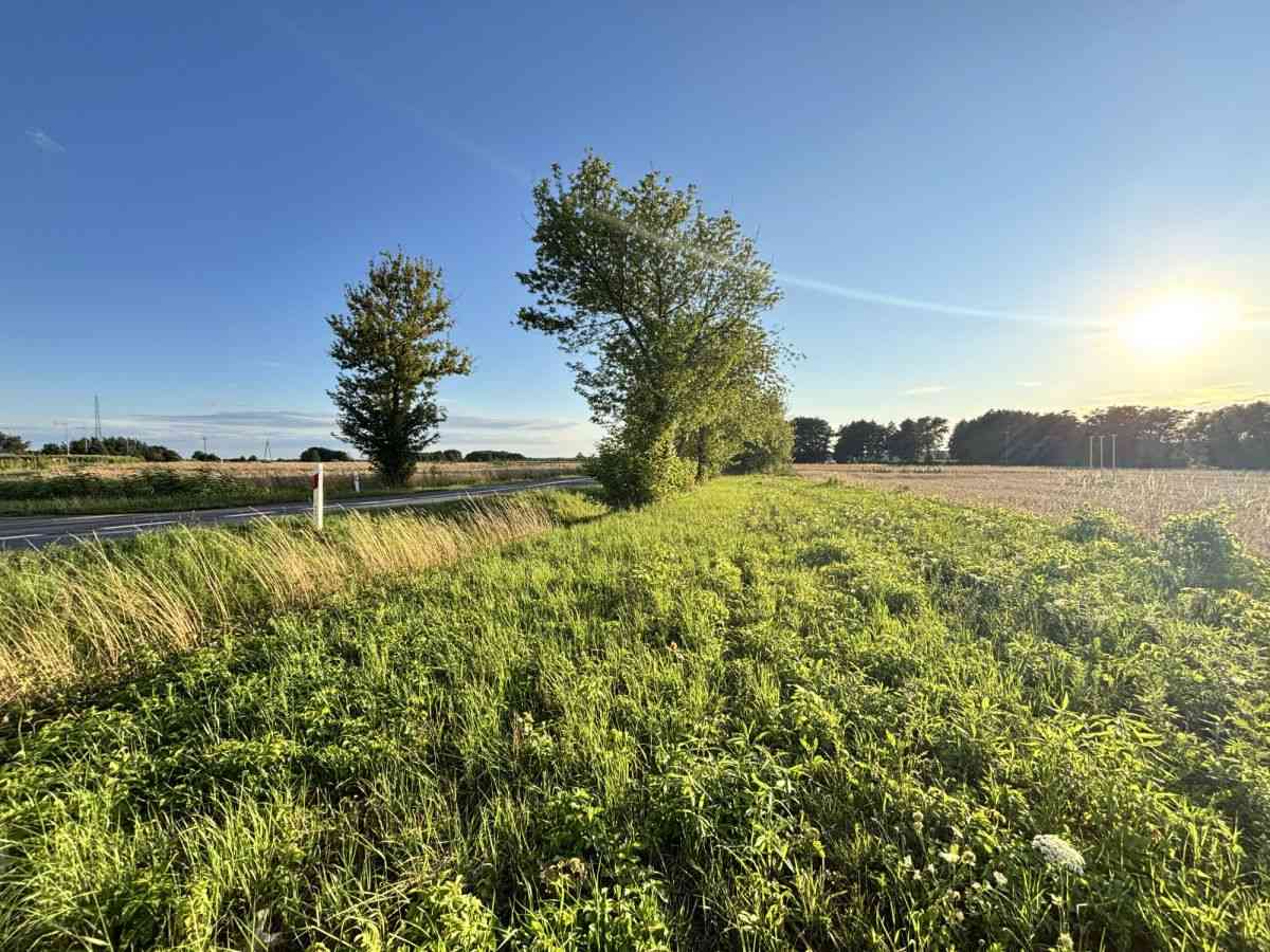 Dopasuj powierzchnię do potrzeb | Od 812m² do 7155 - zdjęcie 15