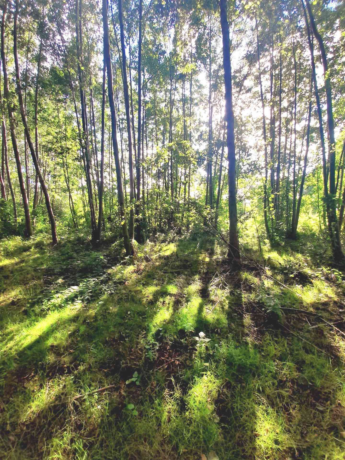 Działka budowlana⭐3599 M2 ⭐ Rzeka Bug⭐ Kania Nowa - zdjęcie 4