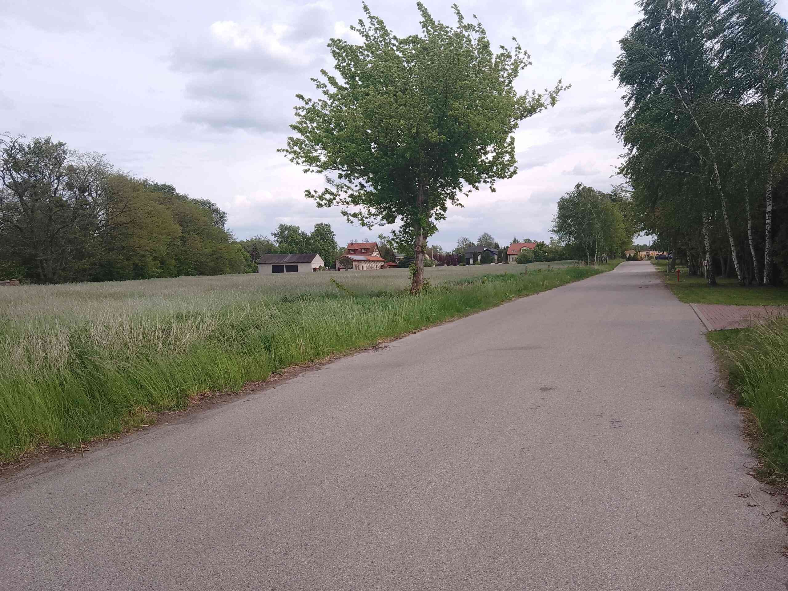 Działka budowlana na sprzedaż Wzniesienia Łódzkie - zdjęcie 15