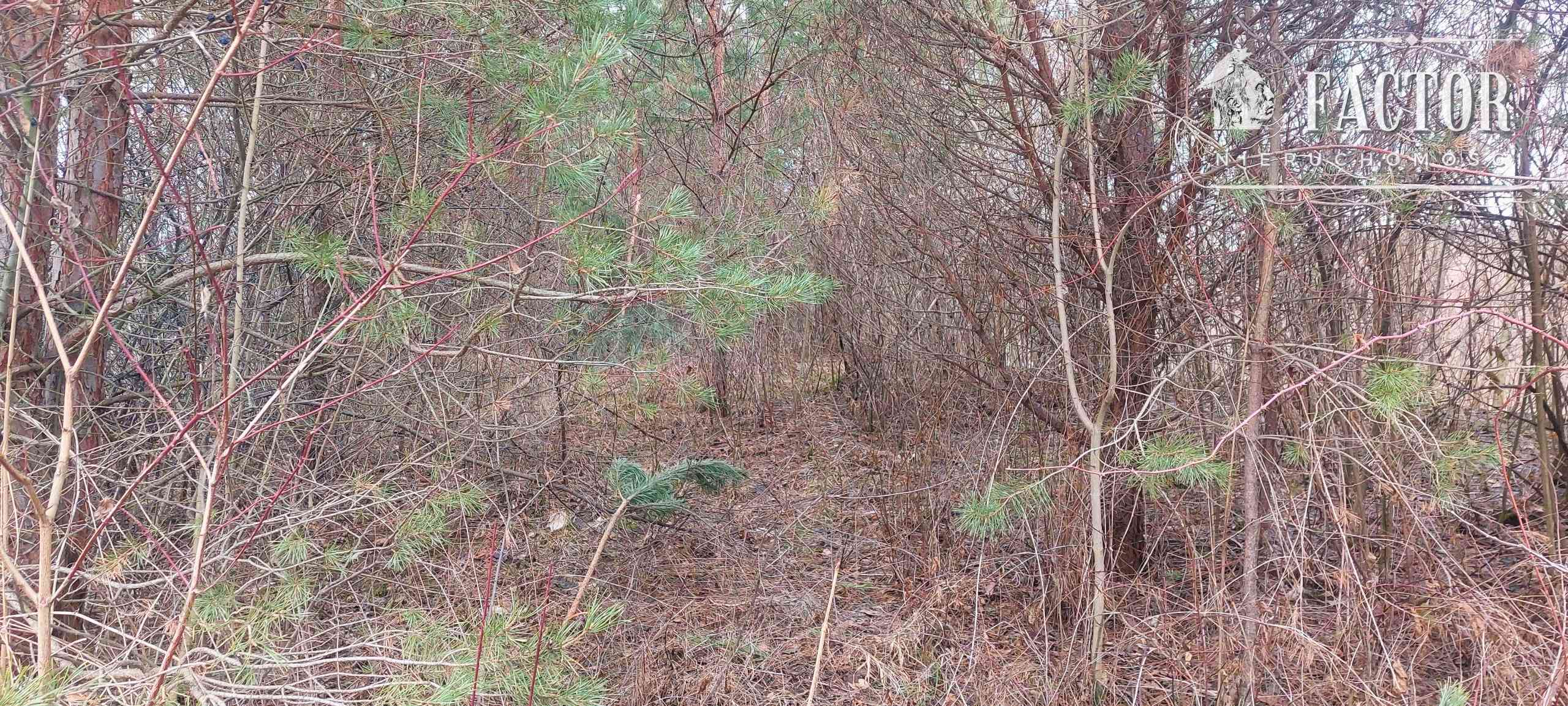 Siary działka budowlano-rolna 0,53 ha 1169S - zdjęcie 8