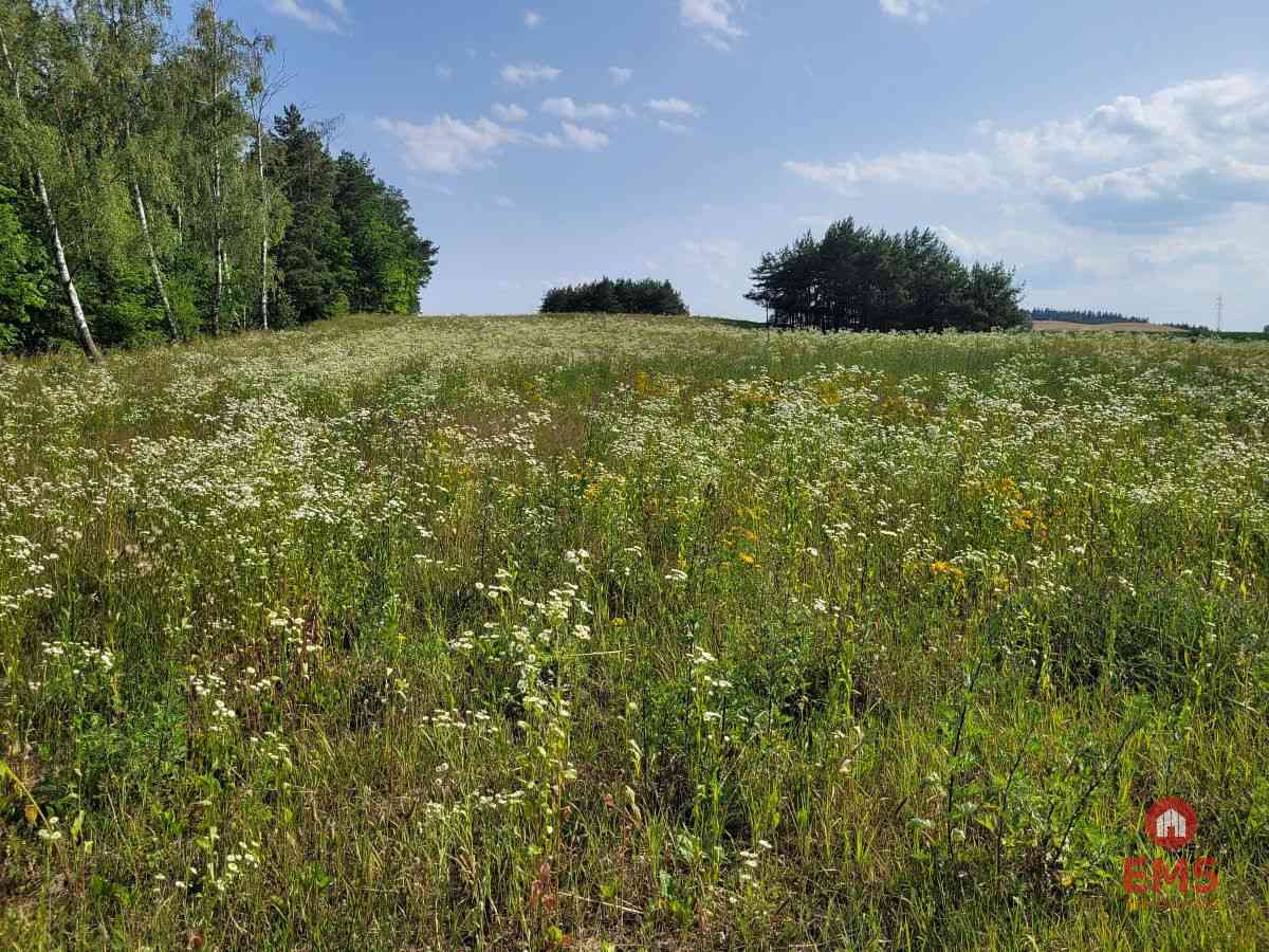 Mazury, jezioro Garbas, duża działka. - zdjęcie 4