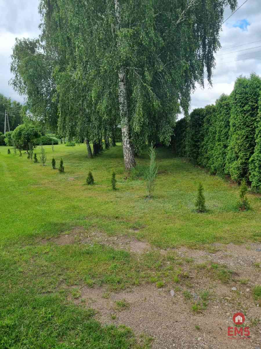 Zadbane siedlisko z budynkami gospodarczymi 7400m² - zdjęcie 30