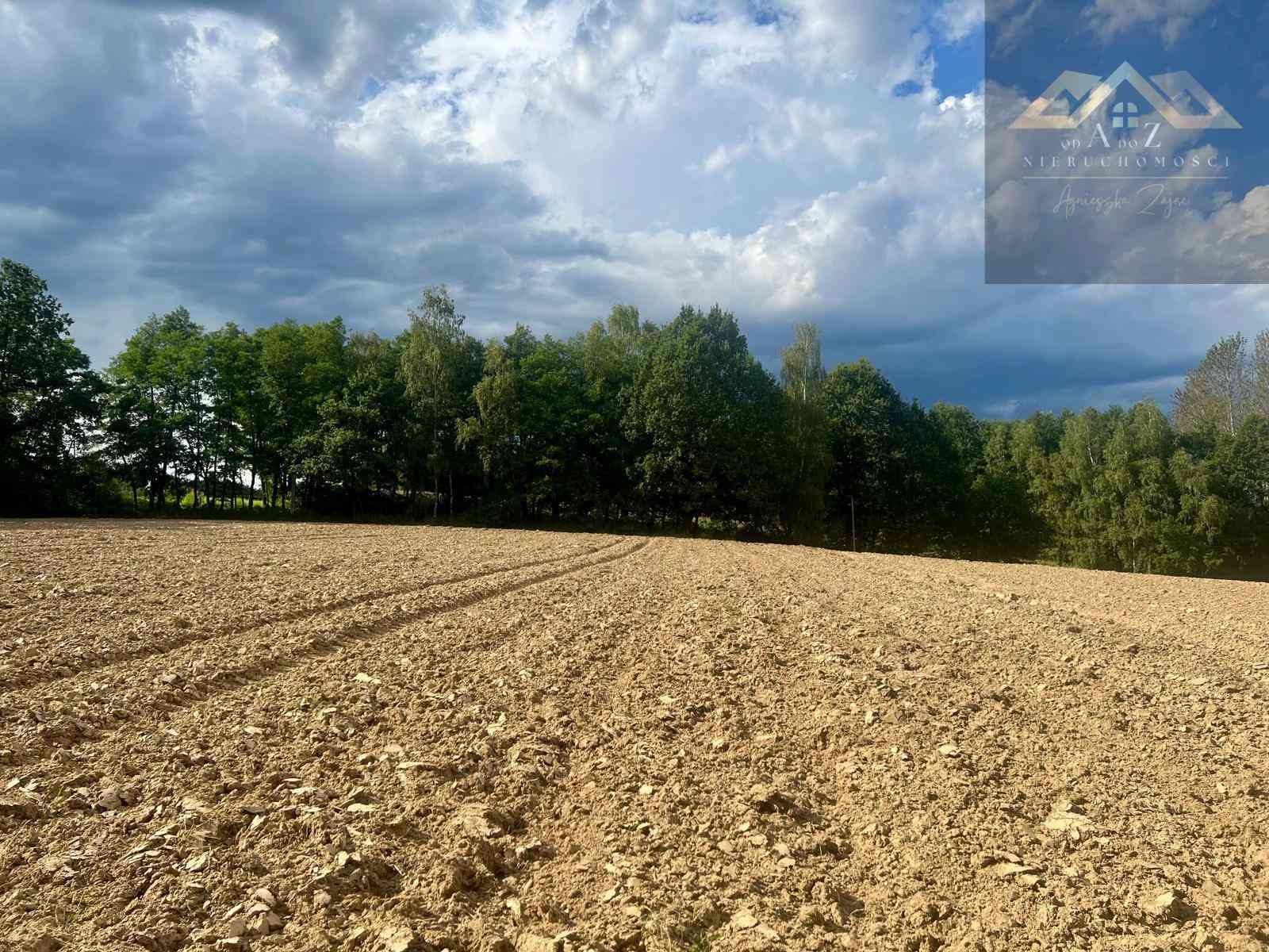 Działki budowlane blisko Tuchowa - zdjęcie 4
