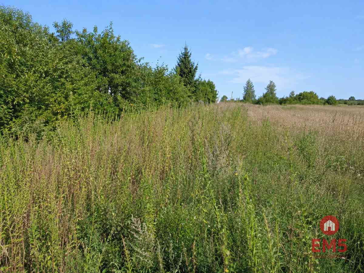 Działka budowlana 1530m2 z WZ - zdjęcie 5