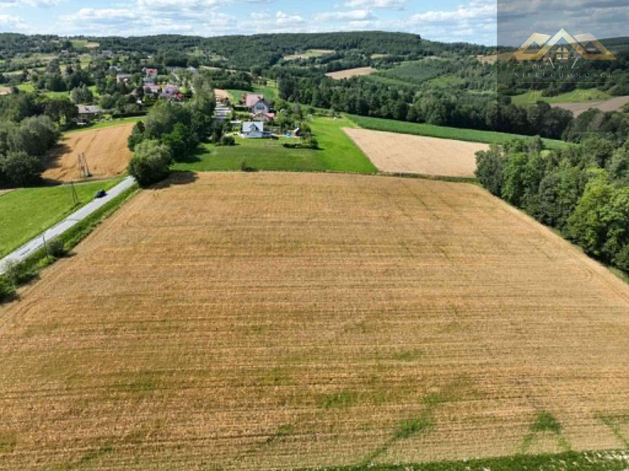 Budowlana 91 ar Lichwin gm. Pleśna, przy lesie - zdjęcie 9