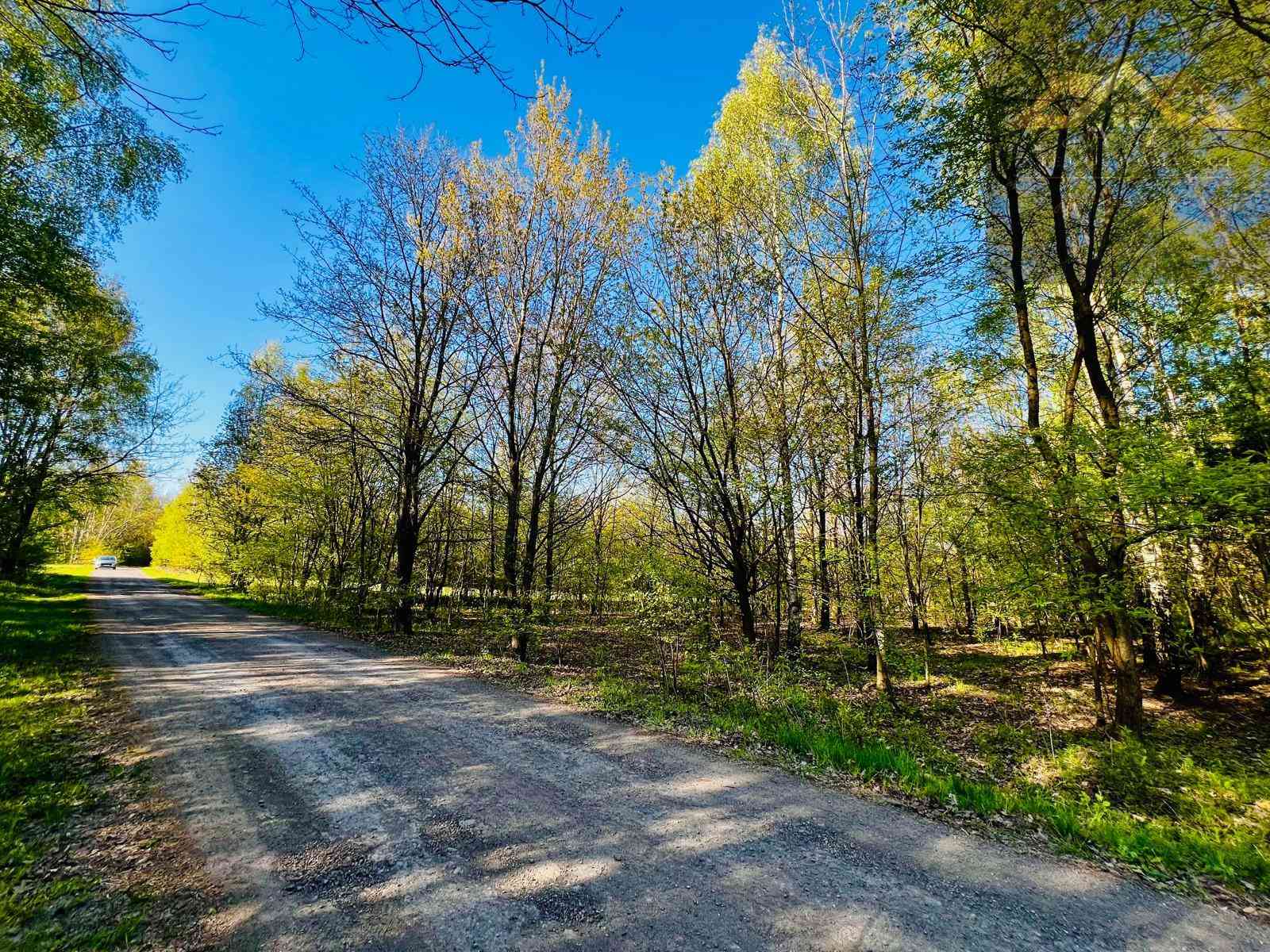 Działka w lesie z warunkami zabudowy
