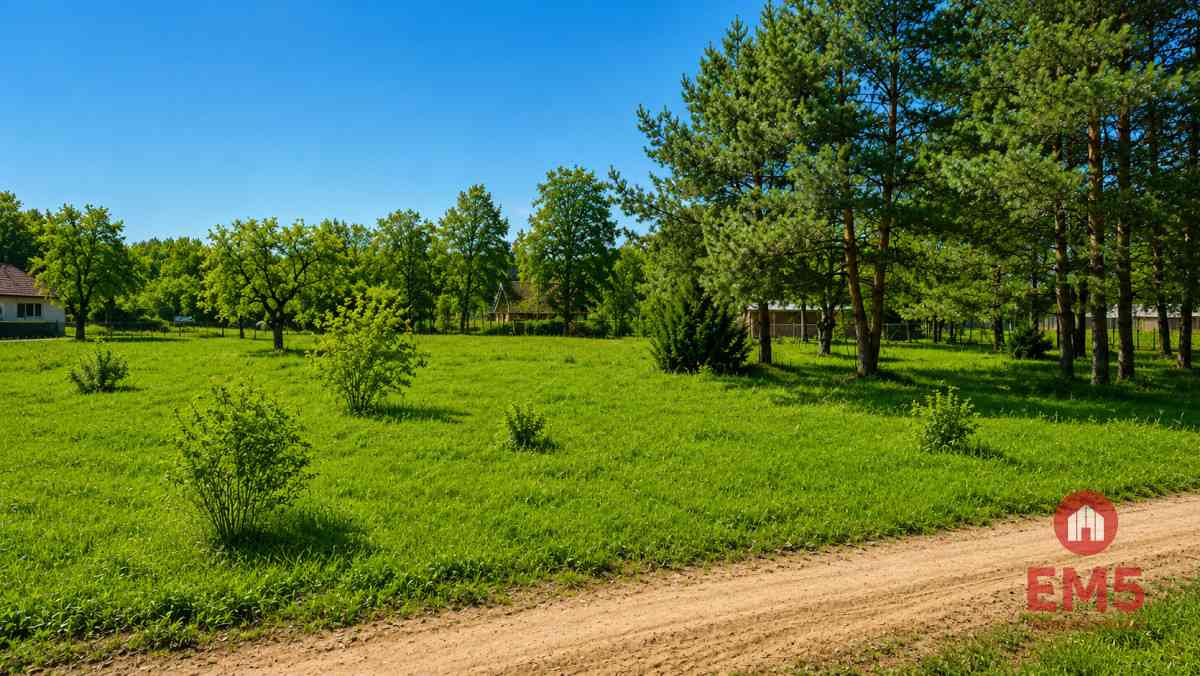 Działka 1792 m2, Pieńki - zdjęcie 5