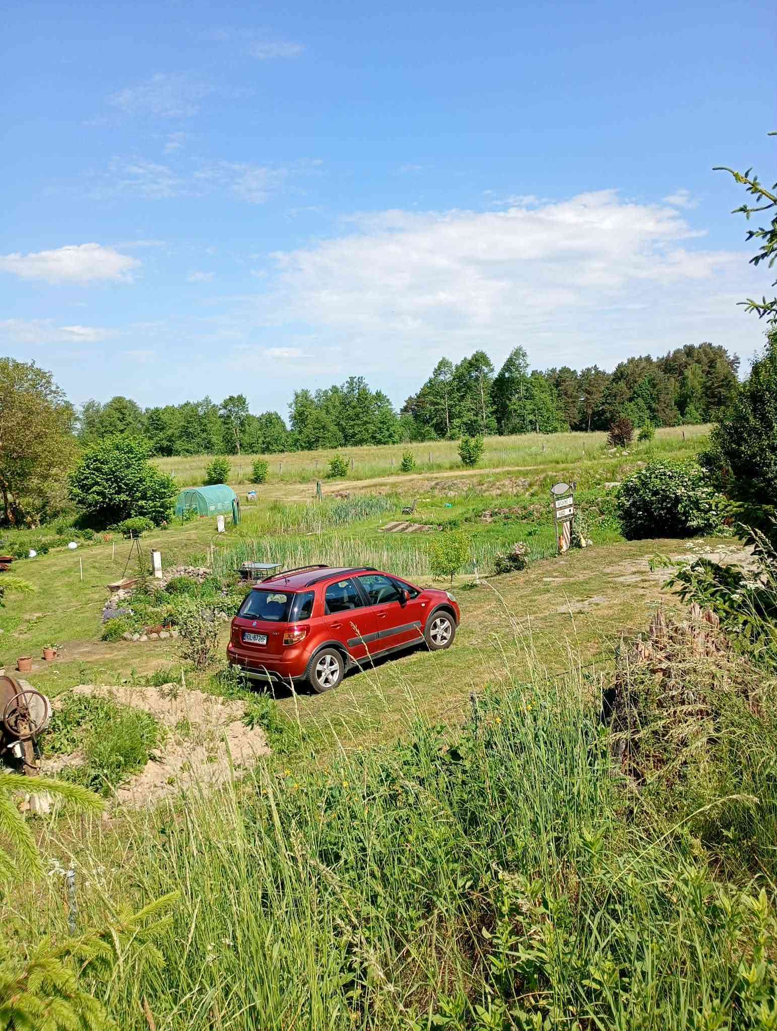 Ośrodek hodowlany/Działka ze stawami rybnymi i domkiem - zdjęcie 3