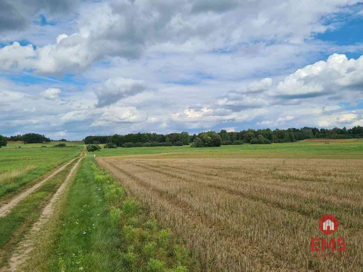 Działka w otulinie Puszczy Knyszyńskiej z WZ