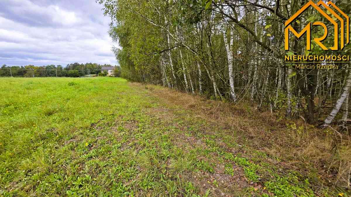 1 ha działki rolnej w gminie Szerzyny  - zdjęcie 14