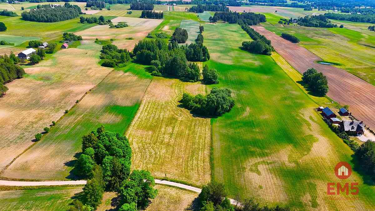 Działka nad jeziorem - zdjęcie 8