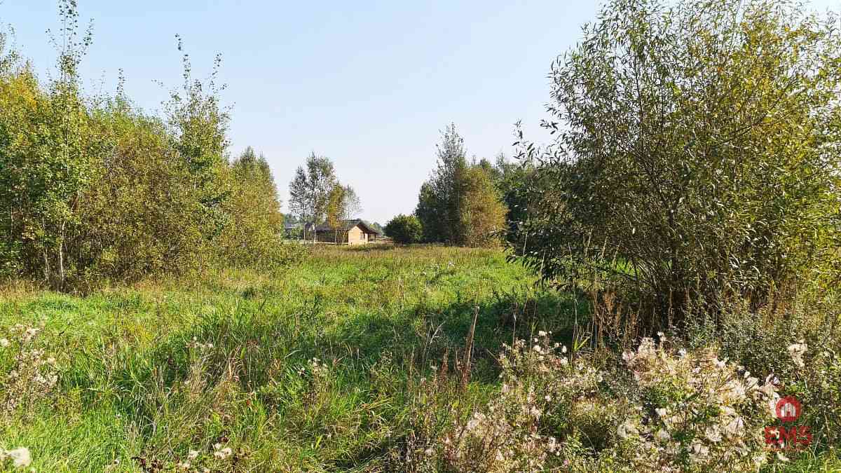 Ciasne. Działka budowlana 5100 m2. - zdjęcie 5