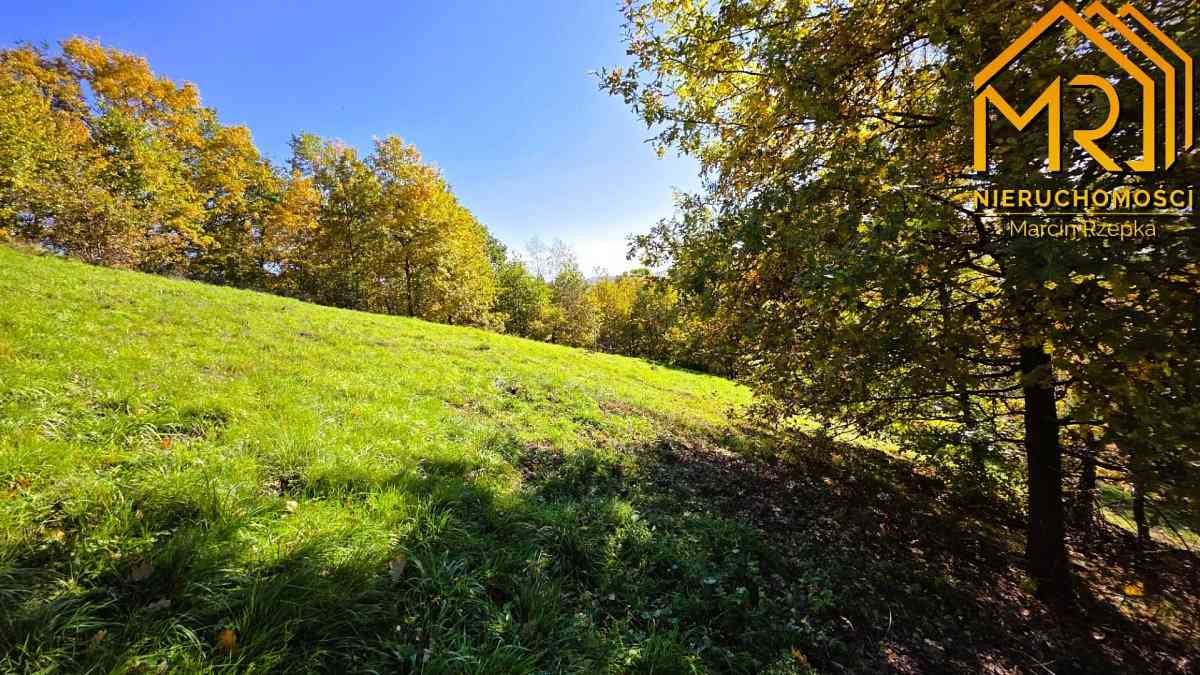 Widokowa działka rolna z panoramą na Dunajec - zdjęcie 10