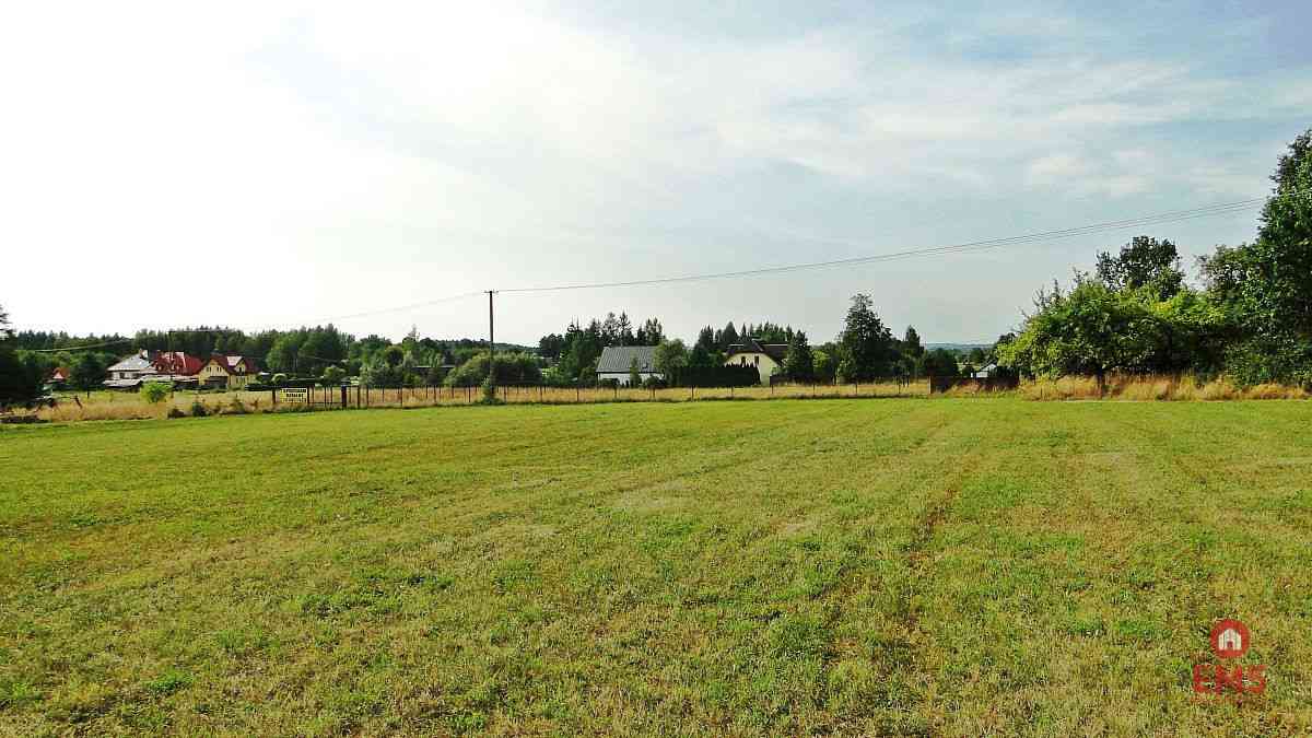 Działka rolno-budowlana 4000 m2, Letniki - zdjęcie 4