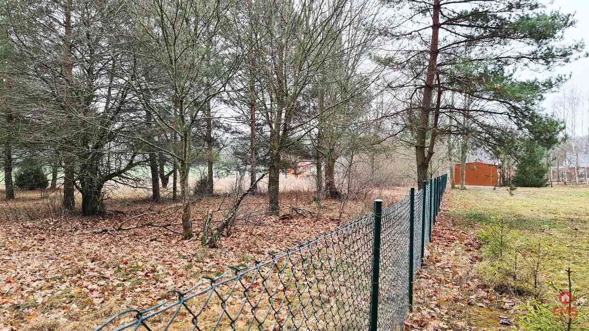 Działka 1900 m2. Pieńki - zdjęcie 9