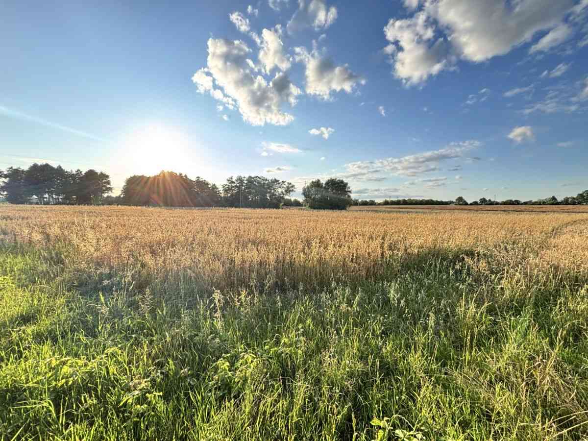 Dopasuj powierzchnię do potrzeb | Od 812m² do 7155 - zdjęcie 17